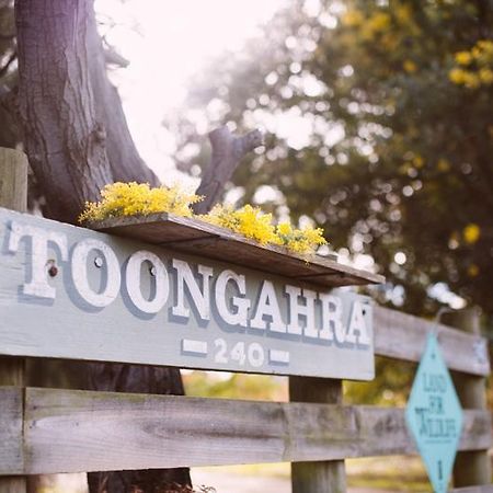 Torquaytoongahra Bnb Exterior foto